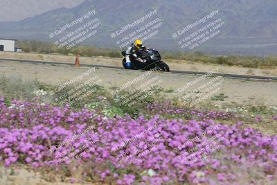 media/Feb-04-2023-SoCal Trackdays (Sat) [[8a776bf2c3]]/Turn 15 Inside Blooming (1050am)/